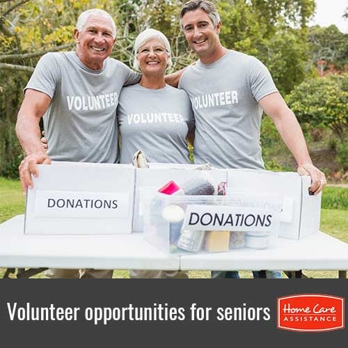 5 Opportunities Where Seniors Can Volunteer in Burlington, VT